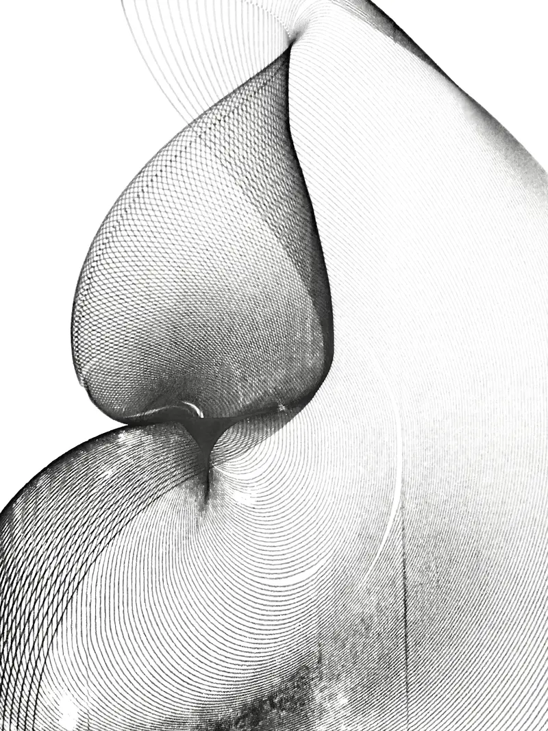 Scanned plotter drawing of an abstract flowy shape.
